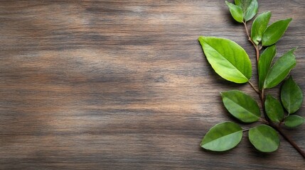 Poster - Vibrant green leaves branch on dark brown wood texture background, offering a natural, organic, and fresh design element for various applications. : Generative AI