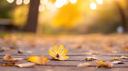 Poster - Single yellow autumn leaf on wooden path, surrounded by fallen leaves, warm sunlight bokeh background.  Peaceful autumnal scene. : Generative AI