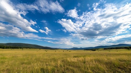 Aufkleber - Vast golden grassland under a vibrant blue sky, dotted with fluffy white clouds, rolling hills in the distance create a serene landscape. : Generative AI