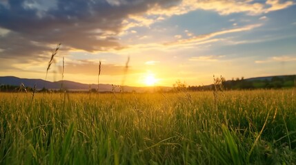 Poster - Golden sunset over a vast meadow, tall grass illuminated by the warm light, creating a serene and peaceful landscape. Distant hills silhouetted against the vibrant sky. : Generative AI