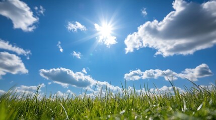Aufkleber - Vibrant green grass blades rise against a backdrop of a brilliant blue sky, dotted with fluffy white cumulus clouds and a bright, sunlit sky. : Generative AI