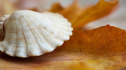 Fototapete - Close-up of a delicate white seashell resting gently on vibrant autumn leaves, showcasing intricate textures and warm color contrasts. : Generative AI