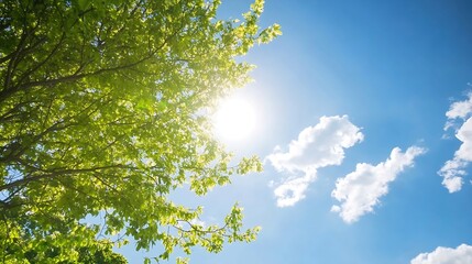 Aufkleber - Bright sunlight filters through lush green leaves of a tree against a vibrant blue sky with fluffy white clouds, creating a serene and peaceful summer scene. : Generative AI