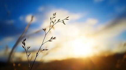 Aufkleber - Silhouette of a delicate grass stem against a vibrant sunset, showcasing the warm golden hues and soft blue sky.  The image evokes feelings of peace and tranquility. : Generative AI