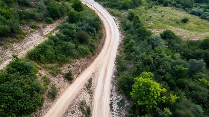 Aufkleber - Aerial view of a winding dirt road traversing a lush green landscape, showcasing diverse vegetation and a natural, untouched environment. : Generative AI