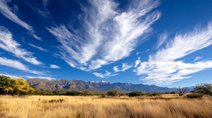 Aufkleber - Striking landscape photograph showcasing a majestic mountain range under a vibrant blue sky adorned with wispy, white clouds, and a foreground of golden, tall grass. : Generative AI