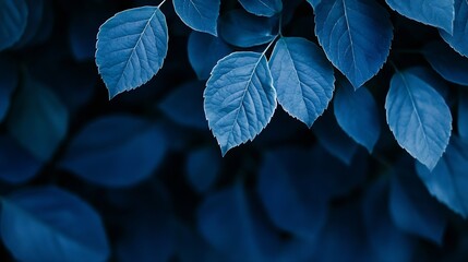 Fototapete - Close-up view of several deep blue leaves, sharply focused, against a blurred background of similar foliage.  The image evokes a sense of serenity and natural beauty. : Generative AI