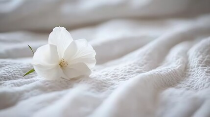 Fototapete - Single white flower delicately placed on soft, textured white fabric, creating a serene and minimalist scene. The gentle folds of the cloth and the flower's soft petals evoke a sense o : Generative AI