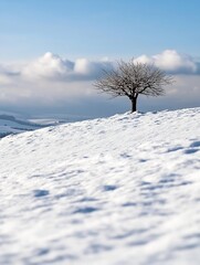 Poster - Solitary bare tree stands on snow-covered hill against a backdrop of winter sky and distant mountains. : Generative AI