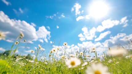 Aufkleber - A vibrant field of daisies sways gently in a summer breeze, under a bright blue sky dotted with fluffy white clouds; sunlight illuminates the scene. : Generative AI