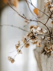 Poster - Dried beige flowers on slender brown branches, delicate and elegant, against a blurred light background, creating a serene and minimalist aesthetic. : Generative AI