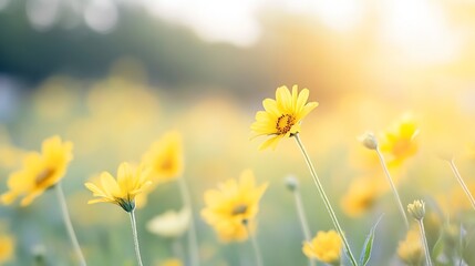 Aufkleber - Close-up view of vibrant yellow wildflowers bathed in warm sunlight, creating a serene and peaceful atmosphere.  The blossoms stand tall, their petals glowing with a soft, golden light : Generative AI
