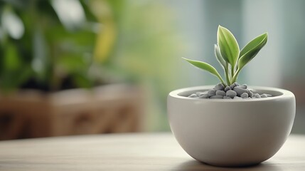 Aufkleber - A small green plant sprouts in a minimalist white pot, sitting on a light wood table against a blurred background of greenery. : Generative AI