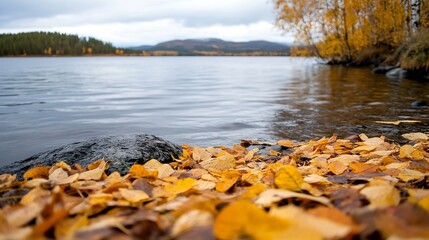Poster - Autumnal lake scene: golden leaves scattered on a rocky shore, calm water reflecting the fall colors of trees and distant hills under a cloudy sky. : Generative AI