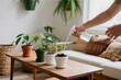 © Asif's Creatives - Hand watering indoor potted plants on wooden table in cozy living room, natural light, green home decor, houseplant care, eco-friendly lifestyle scene
