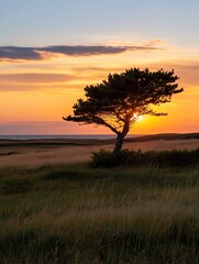 Poster - Silhouette of a lone pine tree stands in a grassy field, the sun setting behind it creating a warm, orange glow in the sky above the calm ocean. : Generative AI