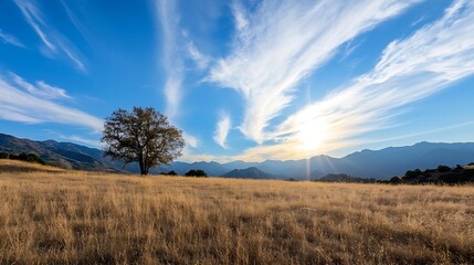 Poster - Solitary tree stands in golden meadow, sun setting behind distant mountains under a vibrant blue sky with wispy clouds. Peaceful landscape photography. : Generative AI