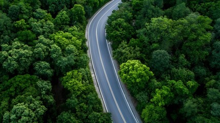 Poster - Aerial view of a winding asphalt road cutting through a lush green forest, showcasing vibrant foliage and a sense of journey. : Generative AI