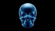 © Leiter1940s - 3D hologram skull on black background.