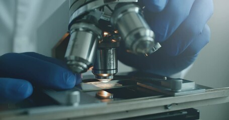Wall Mural - close-up of biologist gloved hands using microscope in sterile laboratory. vibrant blue gloves highl