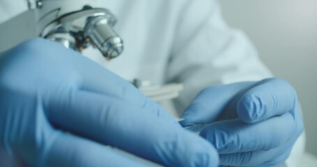 Wall Mural - close-up of biologist gloved hands using microscope in sterile laboratory. vibrant blue gloves highl