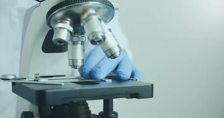 Wall Mural - close-up of biologist gloved hands using microscope in sterile laboratory. vibrant blue gloves highl