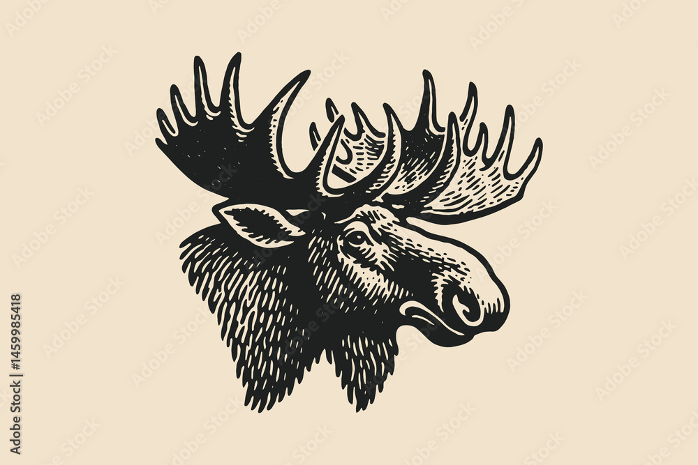 moose head with antlers, vintage engraving style Stock Vector | Adobe Stock