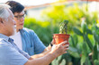 © CandyRetriever  - Happy Asian family father and son shopping and buying plant at street market on summer holiday vacation. Senior man and adult child enjoy leisure hobby growing plant and flowers in the garden at home.