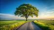 © Vibrant Visions Pixe - Serene Country Road Winding Past a Majestic, Lush Green Tree Under a Tranquil Sunset Sky