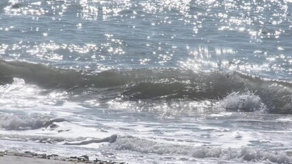 Wall Mural - soft sunlight casting glistening sparkles across gentle azure waves rolling toward sandy portuguese 