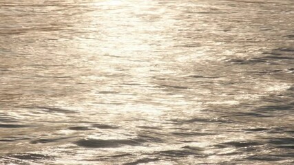 Wall Mural - golden sunlight reflecting on gently rolling ocean waves, illuminating portuguese coastline with war