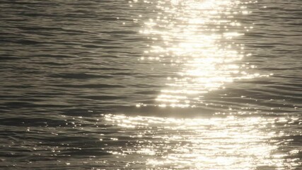 Wall Mural - golden sunlight gently reflecting across calm ocean surface, creating mesmerizing light patterns and