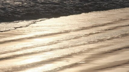 Wall Mural - golden sunlight radiating warmth across gentle waves softly rolling against sandy coastline, capturi