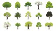 © Mufarokah - Diverse Tree Illustrations on White