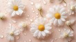 © Roksana - Fresh and Delicate White Daisies with Dewy Water Droplets