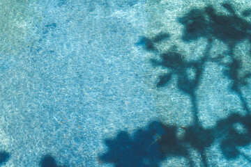 Poster - Shadow of tree branches on clear blue water surface, creating calm and tranquil natural abstract background
