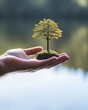 © Nutty - Hand holding small tree with moss, environmental concept, close-up shot, nature background, conservation idea, sustainable future, earth day