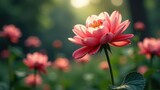 Beautiful pink flower is the main focus of the image, surrounded by other pink flowers