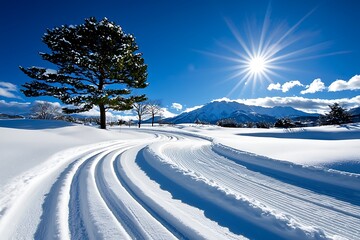 winter wonderland ski trails under a bright sun
