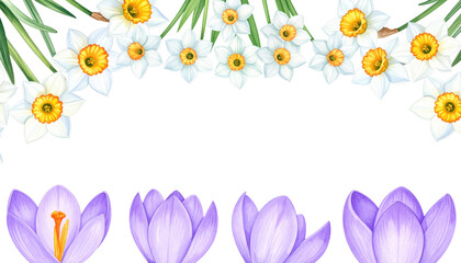 Wall Mural - beautiful floral arrangement featuring white daffodils and purple crocuses, creating vibrant and che