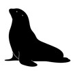 © Siam - Stylized silhouette of a sea lion resting on a white background