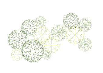 Wall Mural - architecture drawing plant tree top view plan greenery vegetation vector. design nature architectura