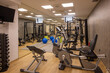 © rilueda - Modern fitness gym with equipment and mirrors