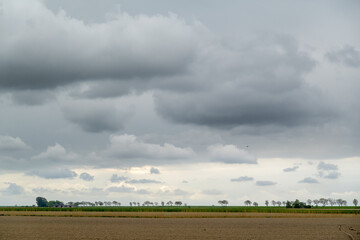 extremely flat agricultural fields in northern groningen, netherlands, under a dramatic clouded sky