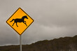 © Austockphoto - Road sign warning of brumbies in the Snowy Mountains