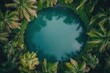 © Sean Hoong - Top-down drone view of circular palms surrounding a still, pale lagoon