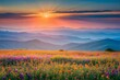 © Ai Arts - Vibrant Sunset Over Rolling Hills and a Wildflower Meadow