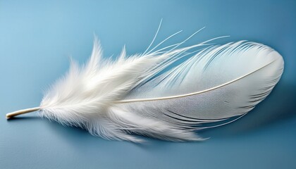 Aufkleber - delicate white feather on blue background for minimalist web design, spring branding, print materials, nature graphics, or soft style digital artwork

