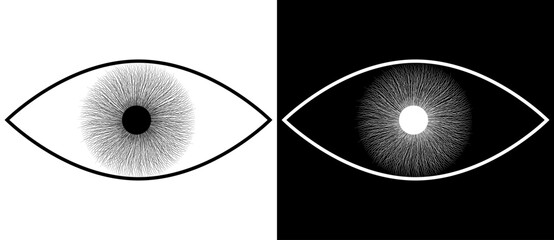 Fototapete - Abstract art lines design like eye shape as symbol, logo or icon. Black shape on a white background and the same white shape on the black side.