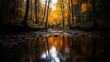 © Fonlinepix - A peaceful autumn creek winding through a colorful forest.